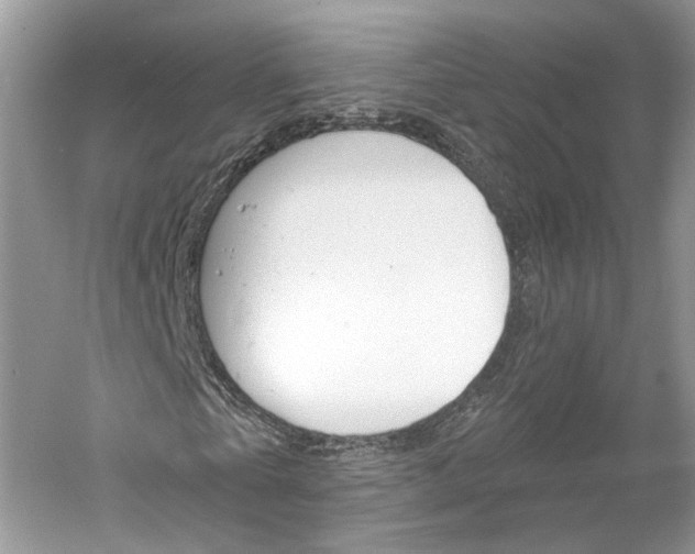 X0000061100769200511180907