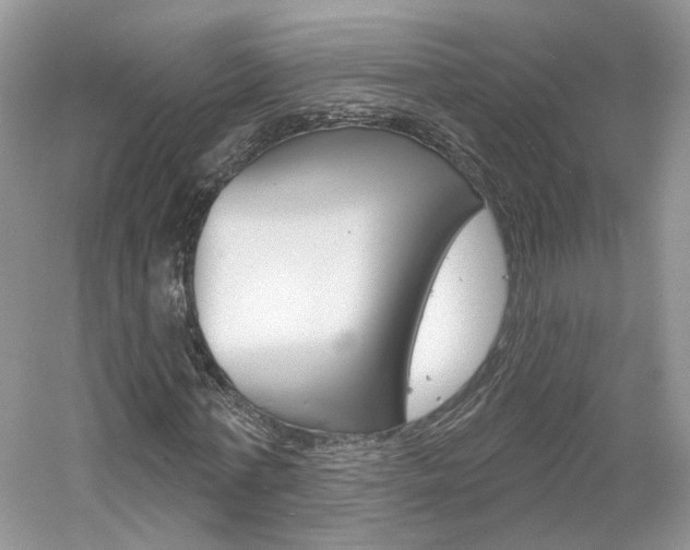X0000061100771200511180907