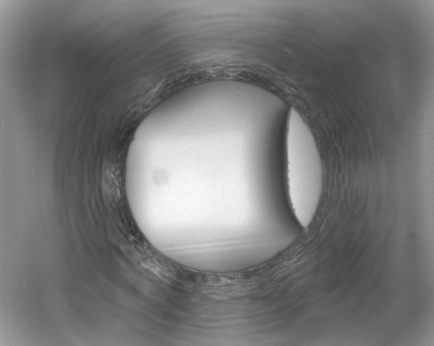 X0000061100772200511180907