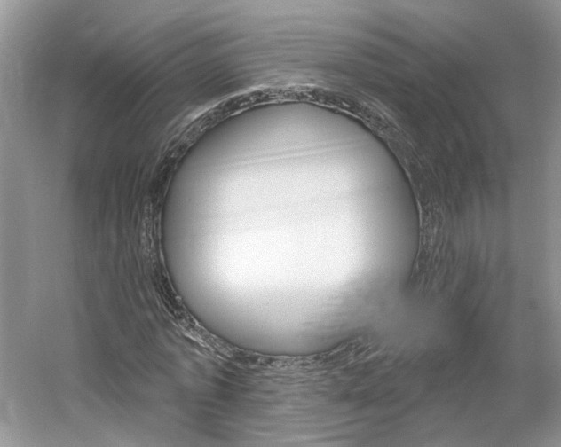 X0000061100773200511180907