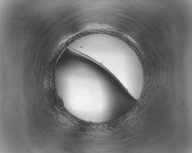 X0000061100775200511180907