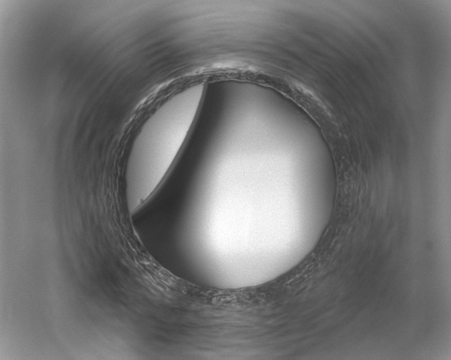 X0000061100776200511180907