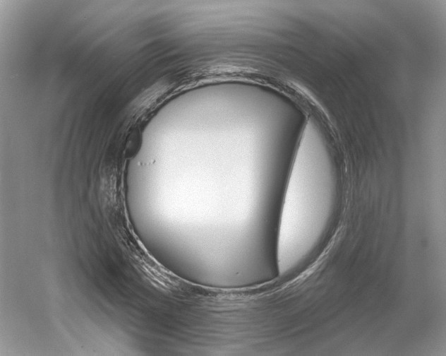 X0000061100777200511180907