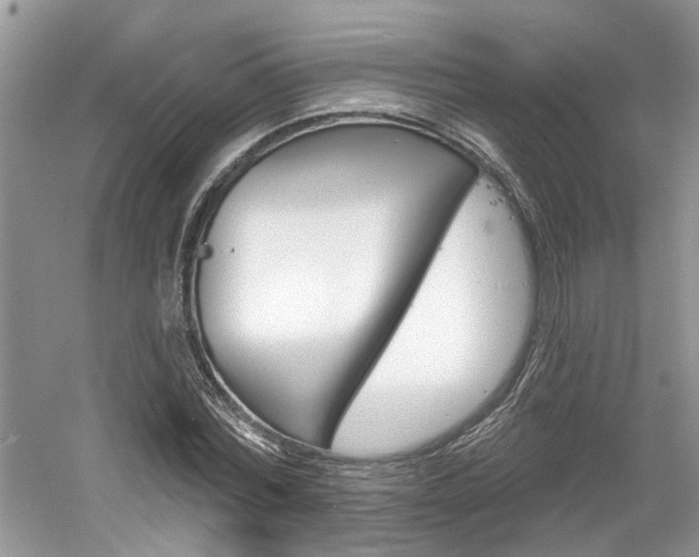 X0000061100780200511180907