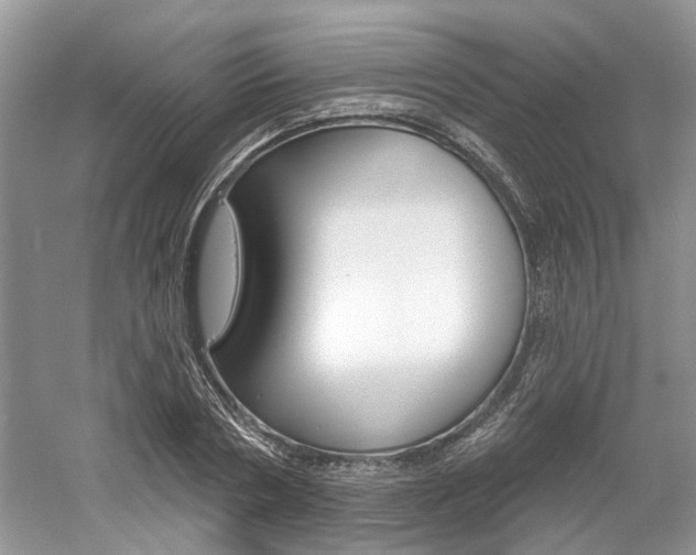 X0000061100786200511180907