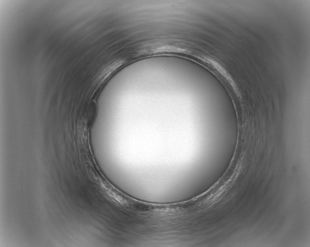 X0000061100793200511180907