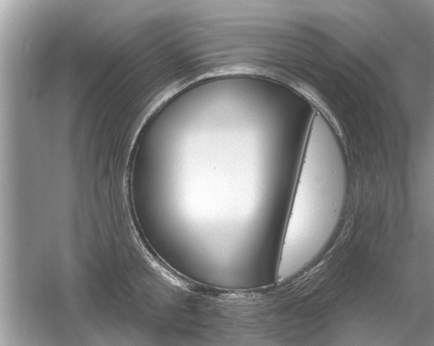 X0000061100805200511180906