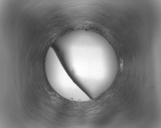 X0000061100819200511180905