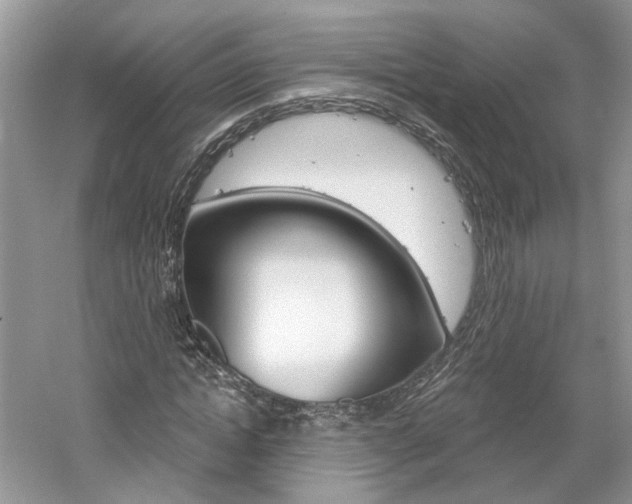 X0000061100822200511180905