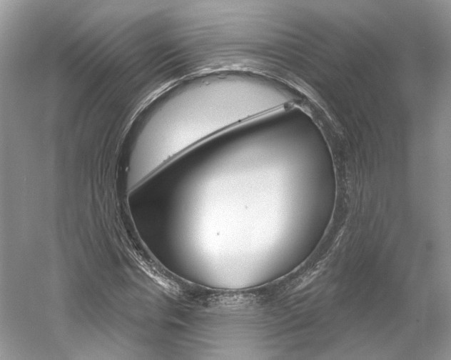 X0000061100826200511180906
