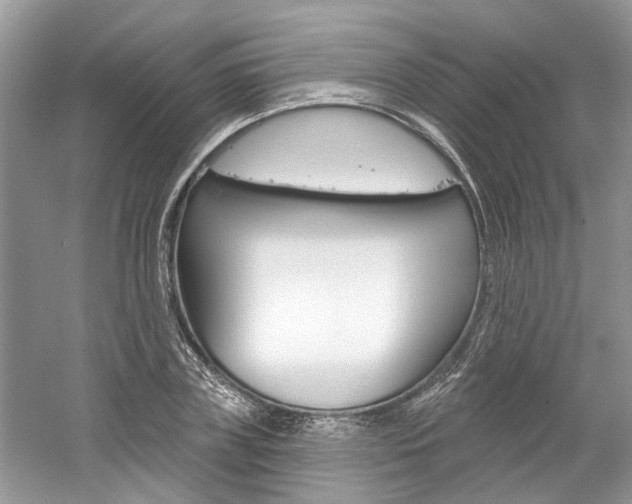 X0000061100835200511180906