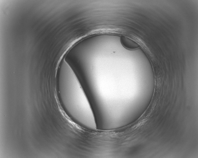 X0000061100844200511180906