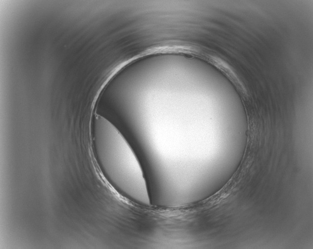 X0000061100852200511180906