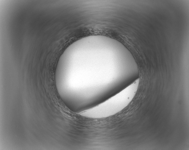 X0000061100865200511180905