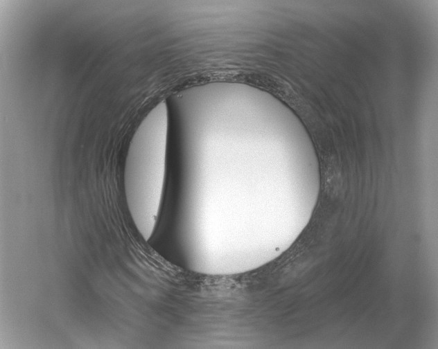 X0000061100866200511180905