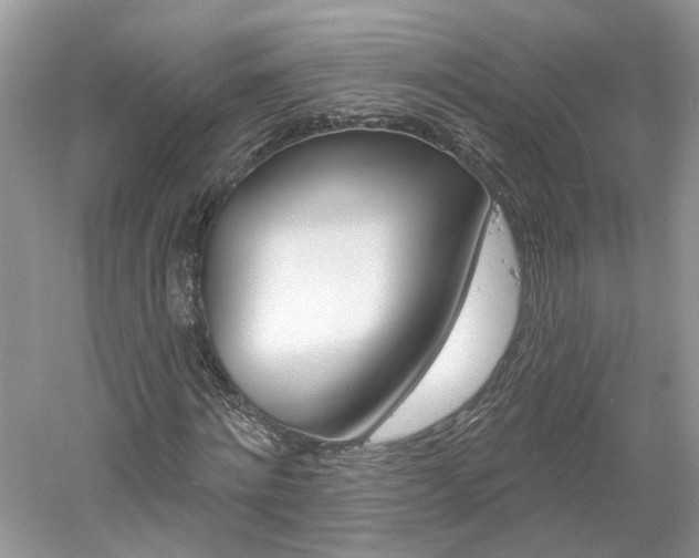 X0000061100868200511180905