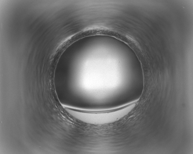 X0000061100872200511180905