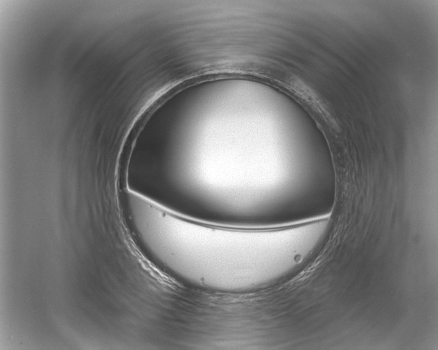 X0000061100884200511180905
