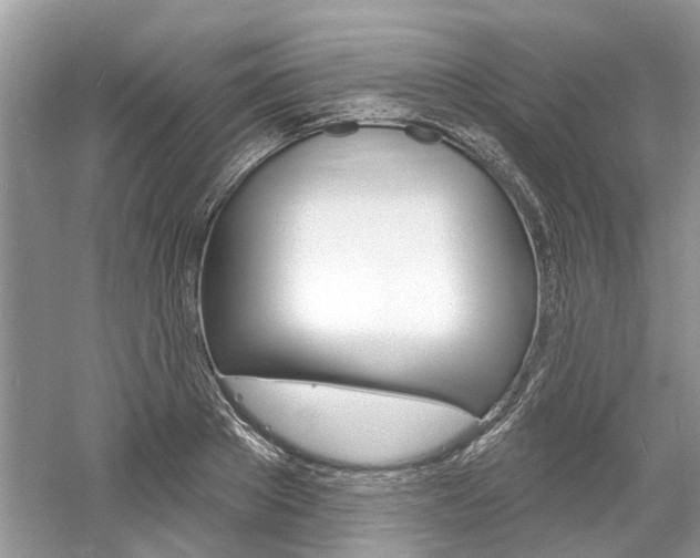 X0000061100889200511180905