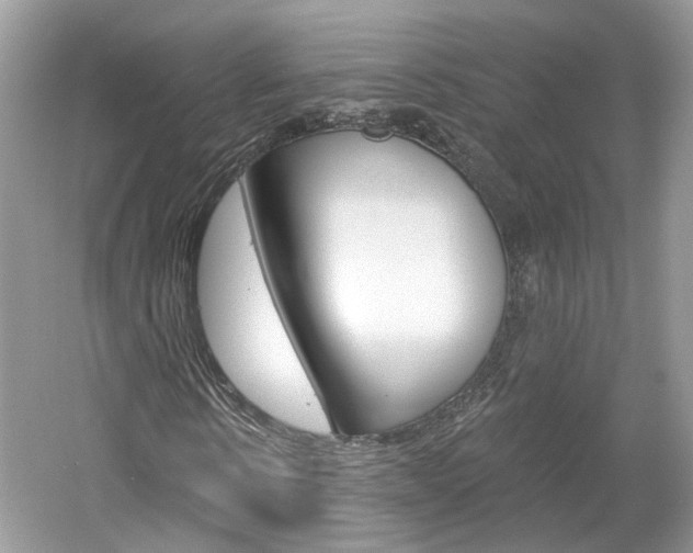 X0000061100914200511180904