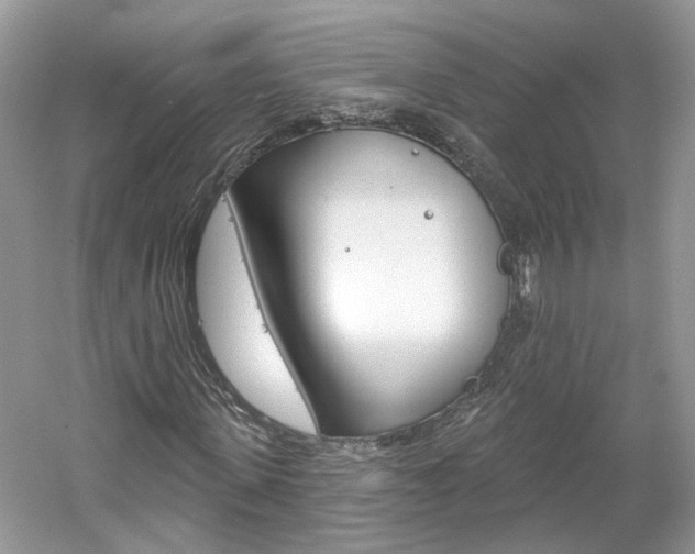 X0000061100915200511180904