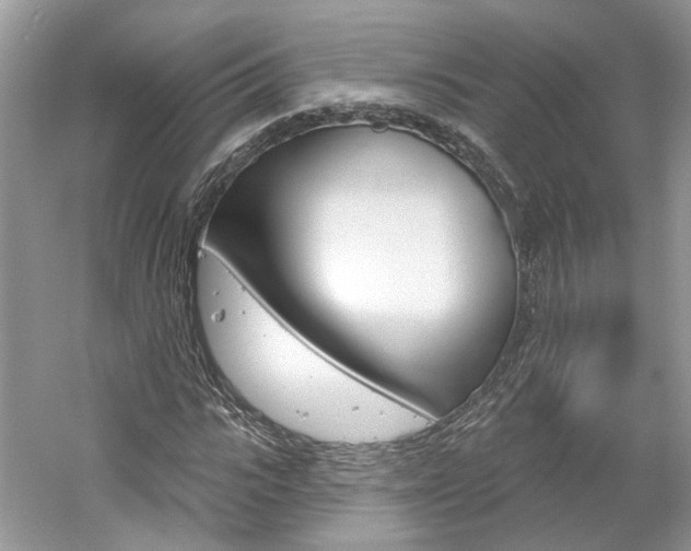 X0000061100919200511180904