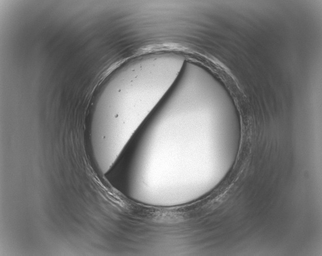 X0000061100921200511180904