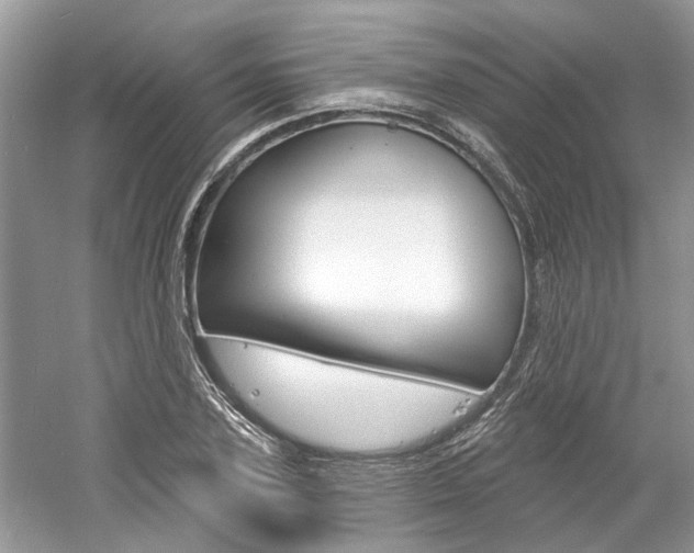 X0000061100931200511180904