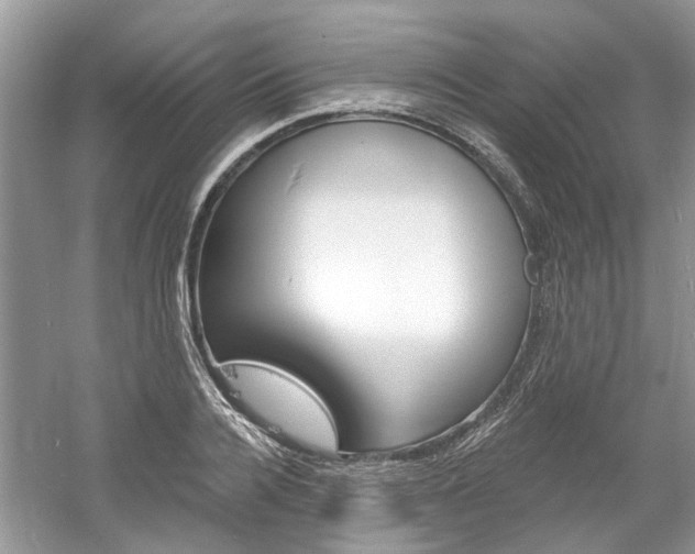 X0000061100936200511180904