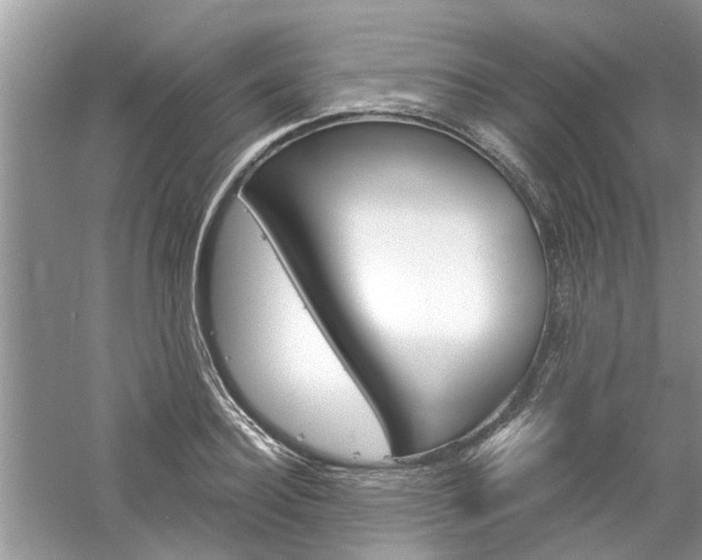 X0000061100940200511180904