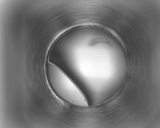 X0000061100951200511180904