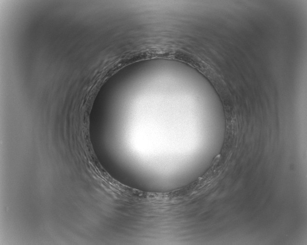 X0000061100961200511180903