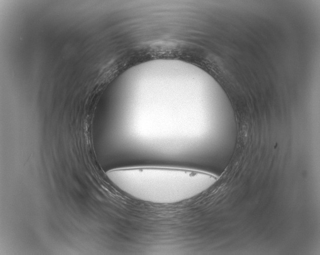 X0000061100964200511180903