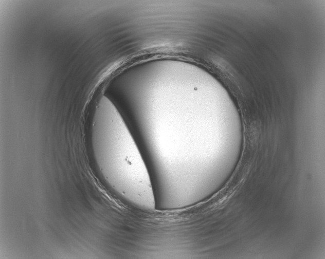 X0000061100970200511180903