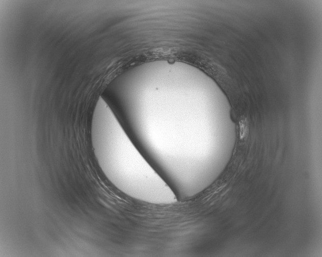 X0000061101011200511180902