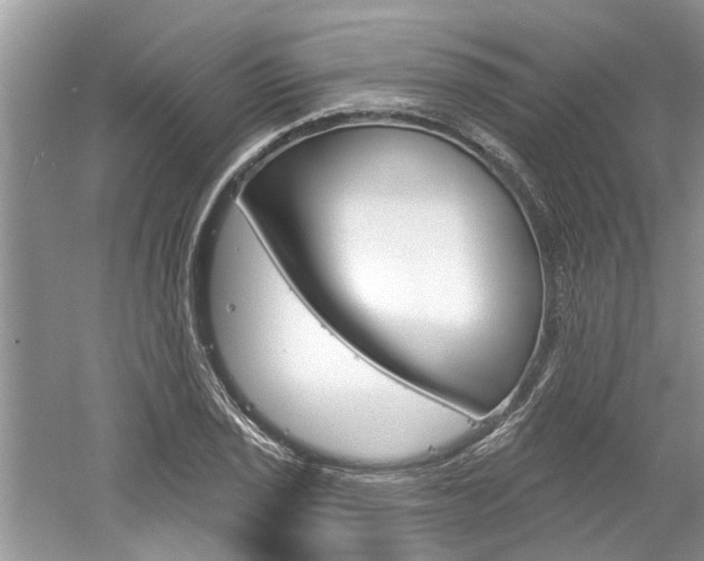 X0000061101029200511180902