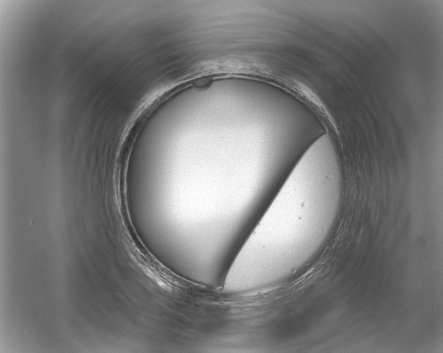 X0000061101035200511180902