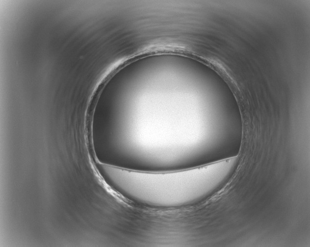 X0000061101038200511180902