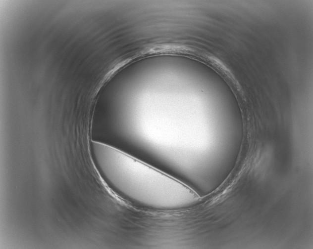 X0000061101041200511180902