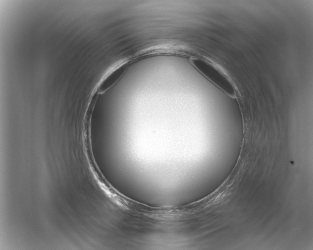 X0000061101042200511180902