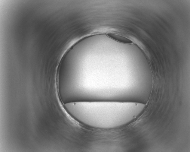 X0000061101055200511180903