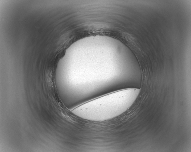 X0000061101060200511180902