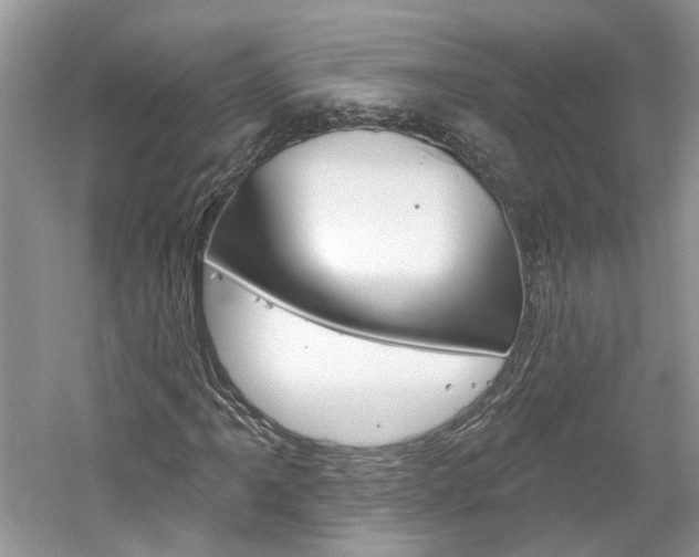 X0000061101061200511180902