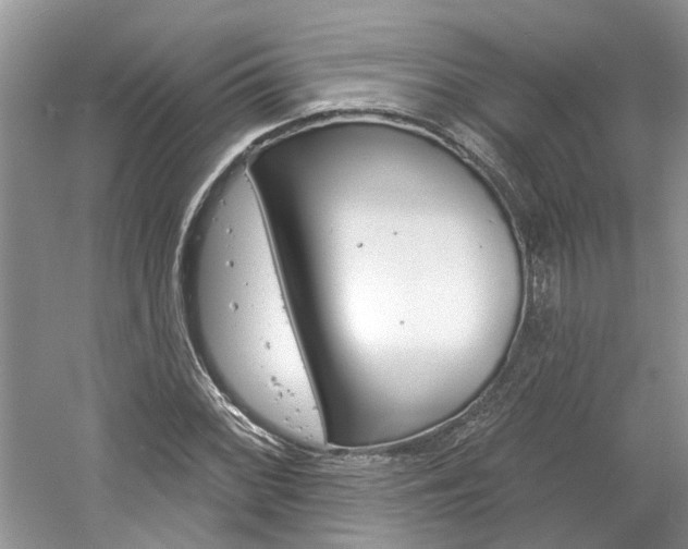 X0000061101068200511180902