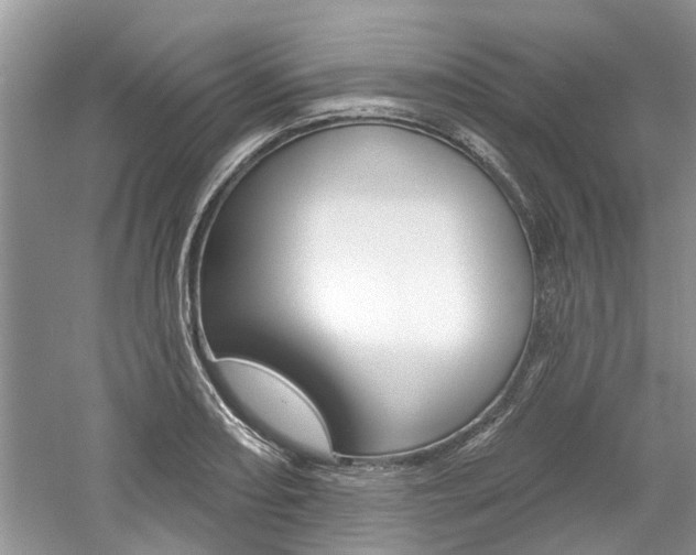 X0000061101082200511180901