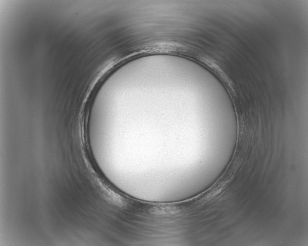X0000061101083200511180901