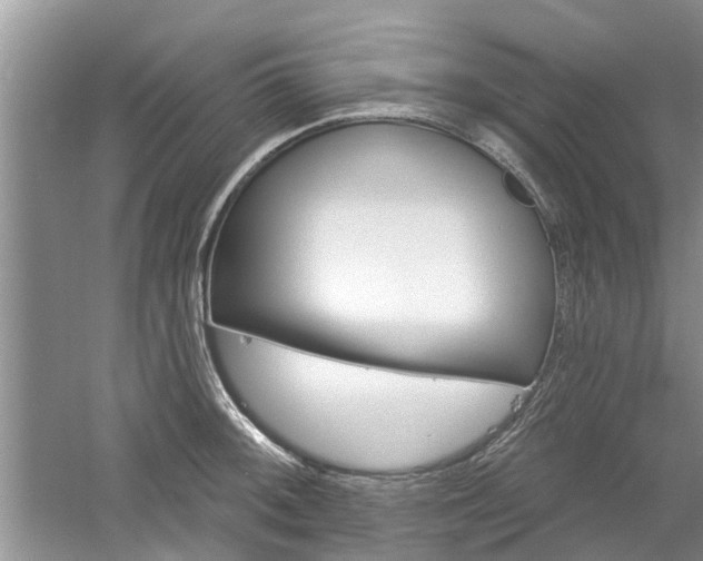 X0000061101092200511180901