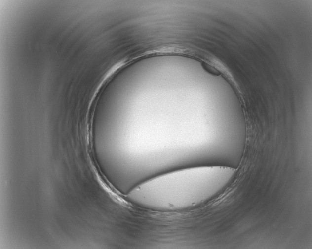 X0000061101095200511180901