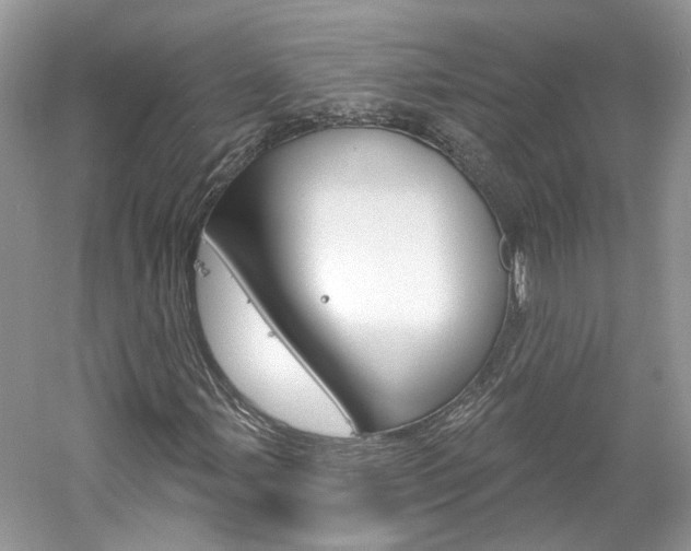 X0000061101107200511180900