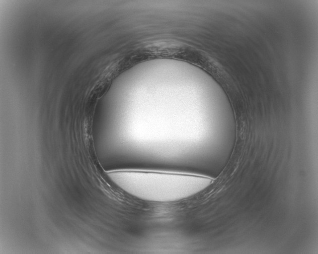 X0000061101108200511180900